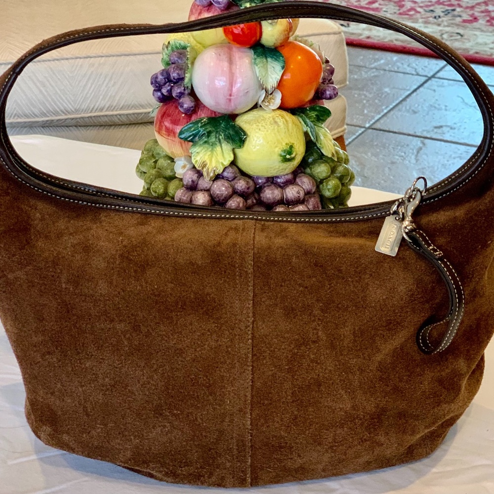 Coach Brown Suede Hobos bag